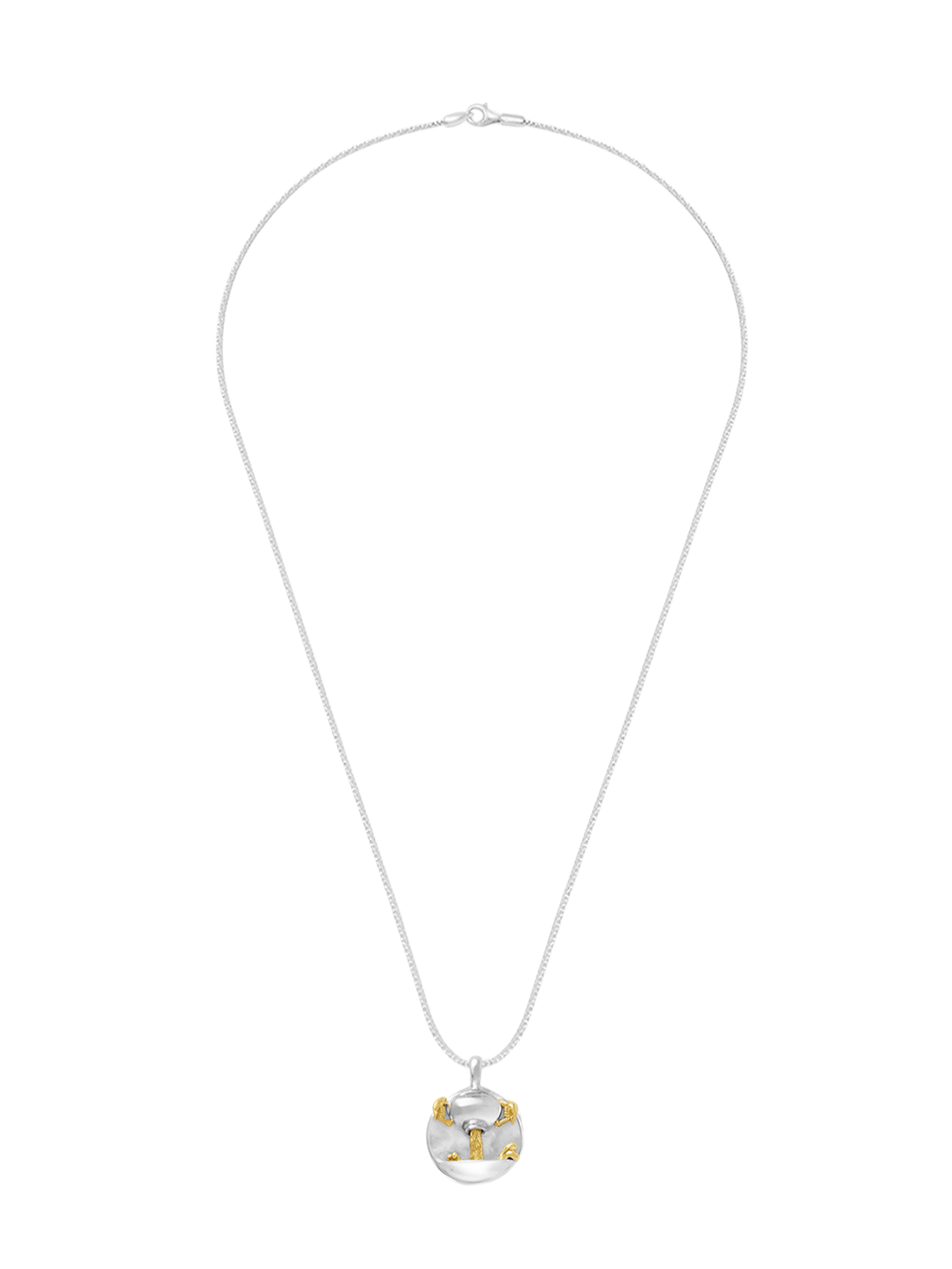 Aquarius Pendant