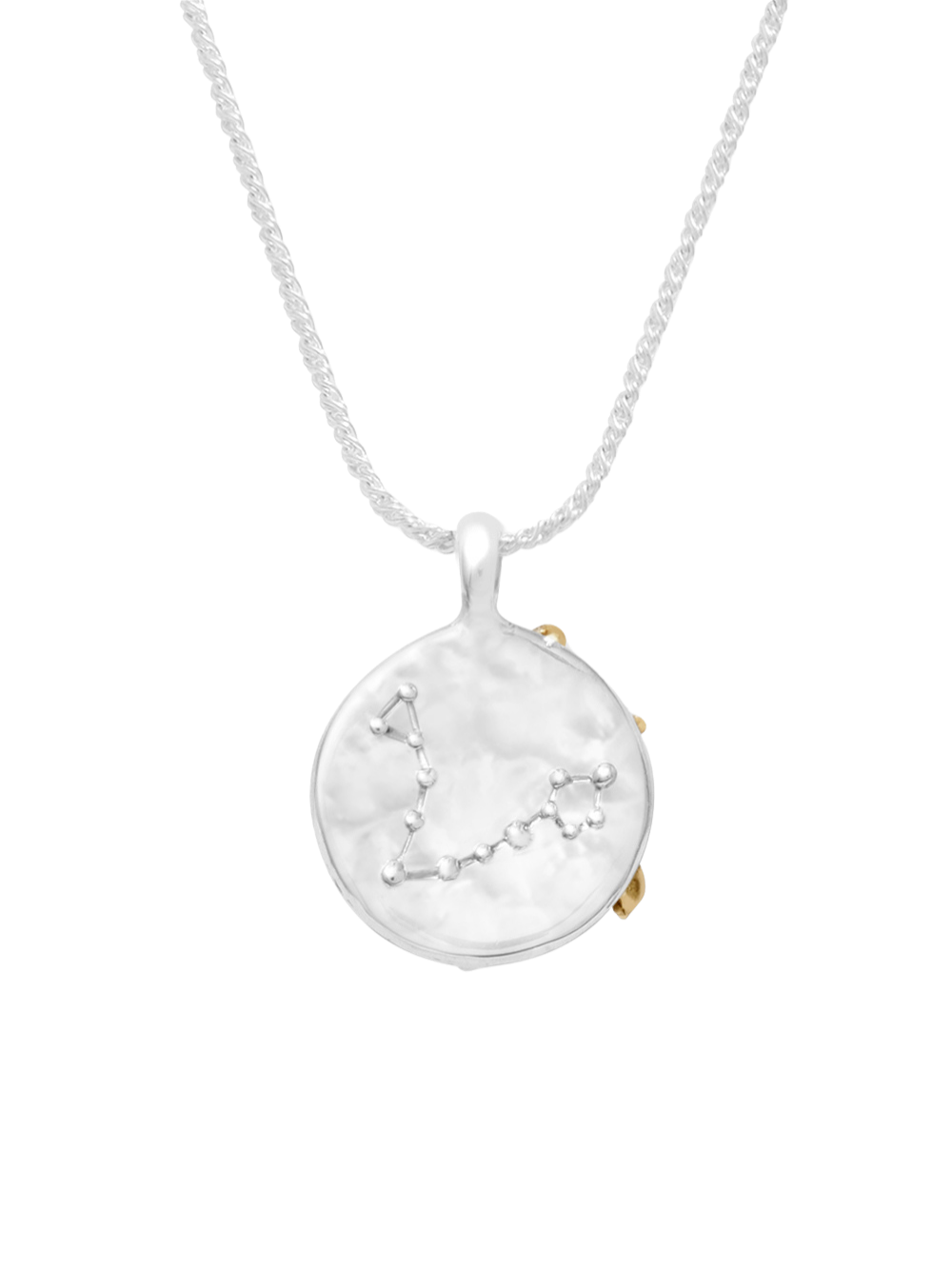 Pisces Pendant