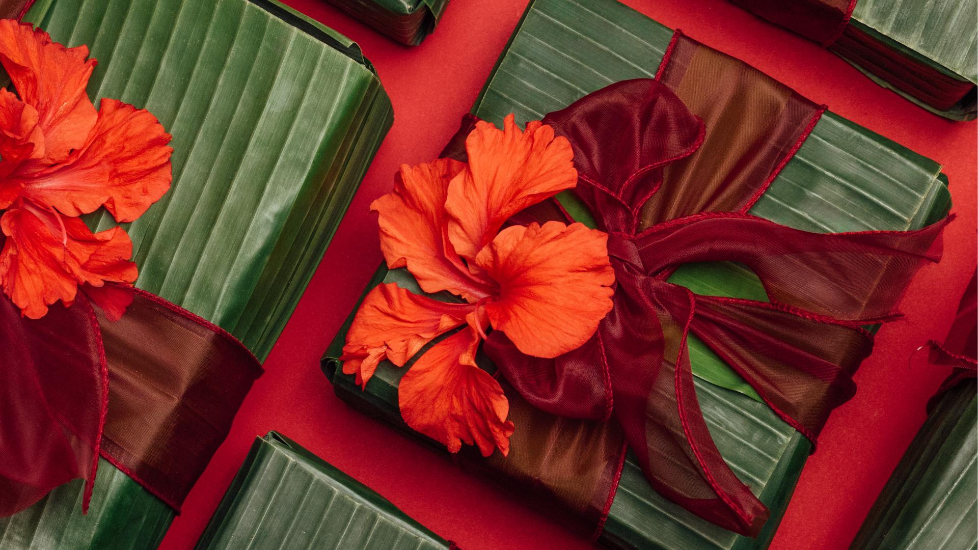 CARINA HARDY's 2025 Gift Guide