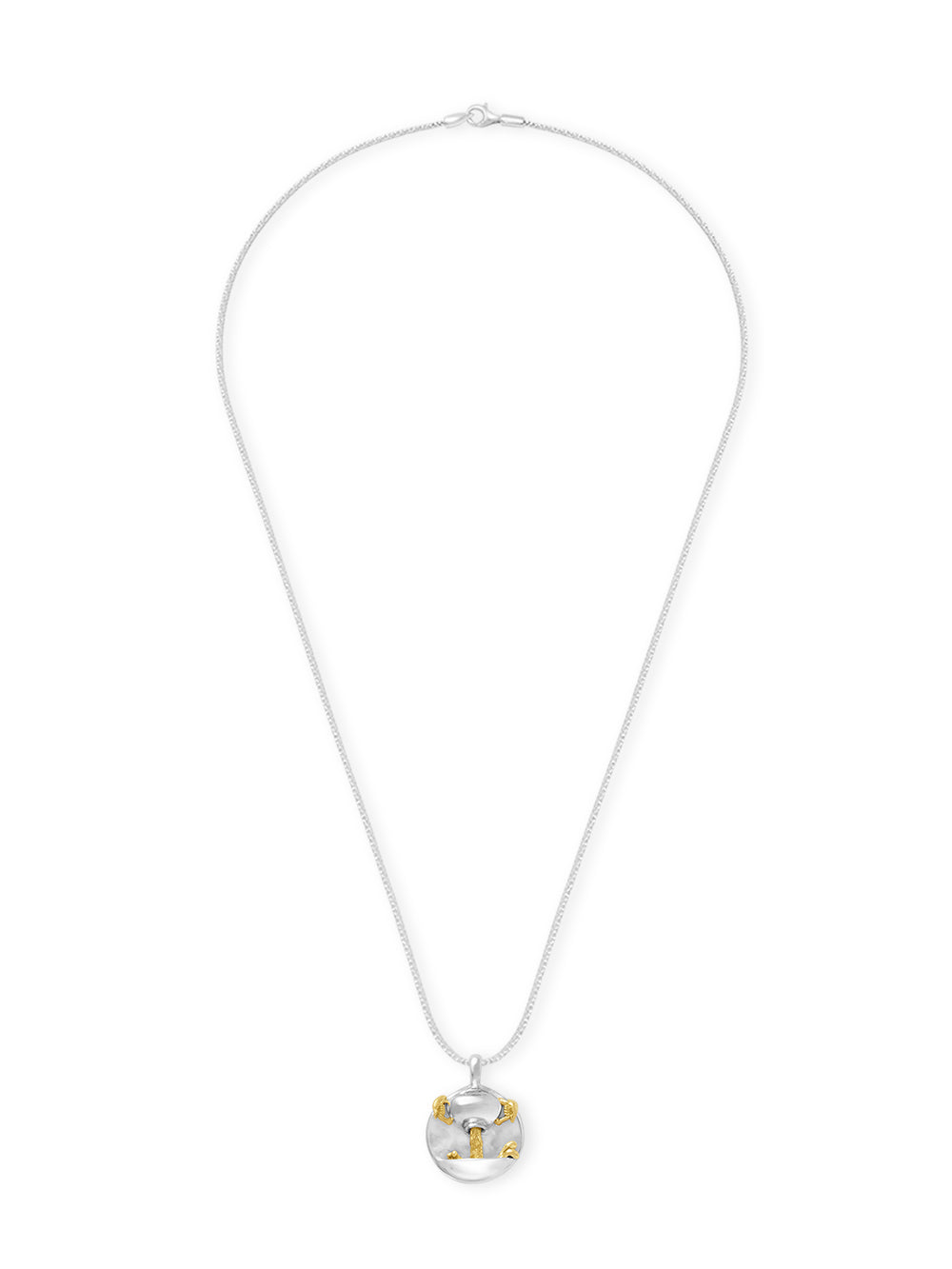 Aquarius Pendant