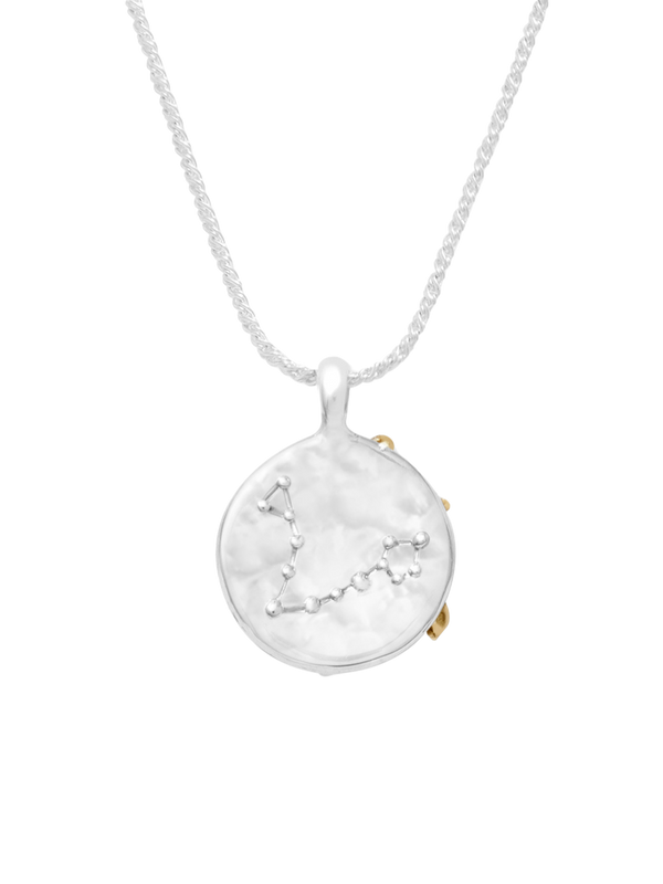 Pisces Pendant