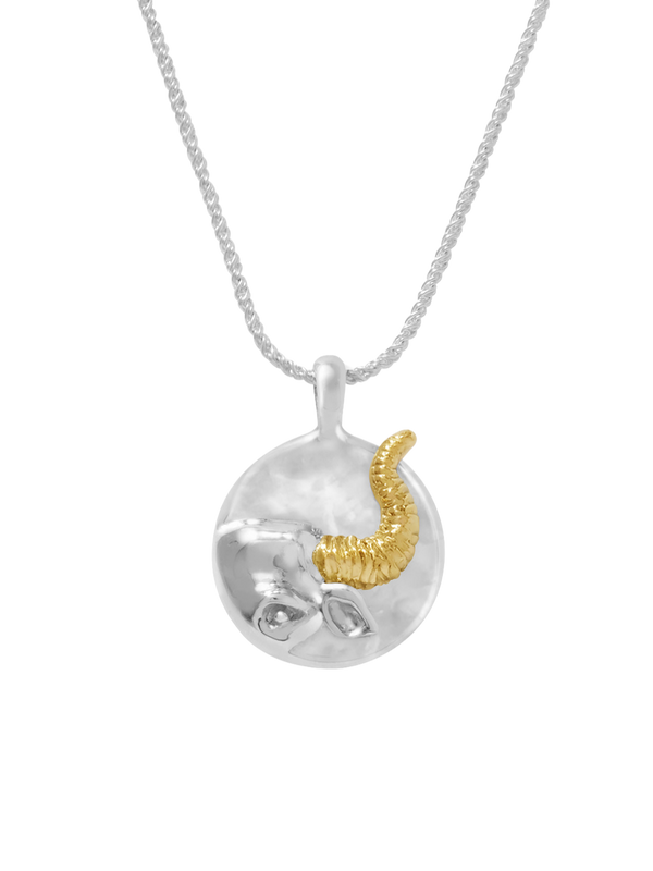 Taurus Pendant