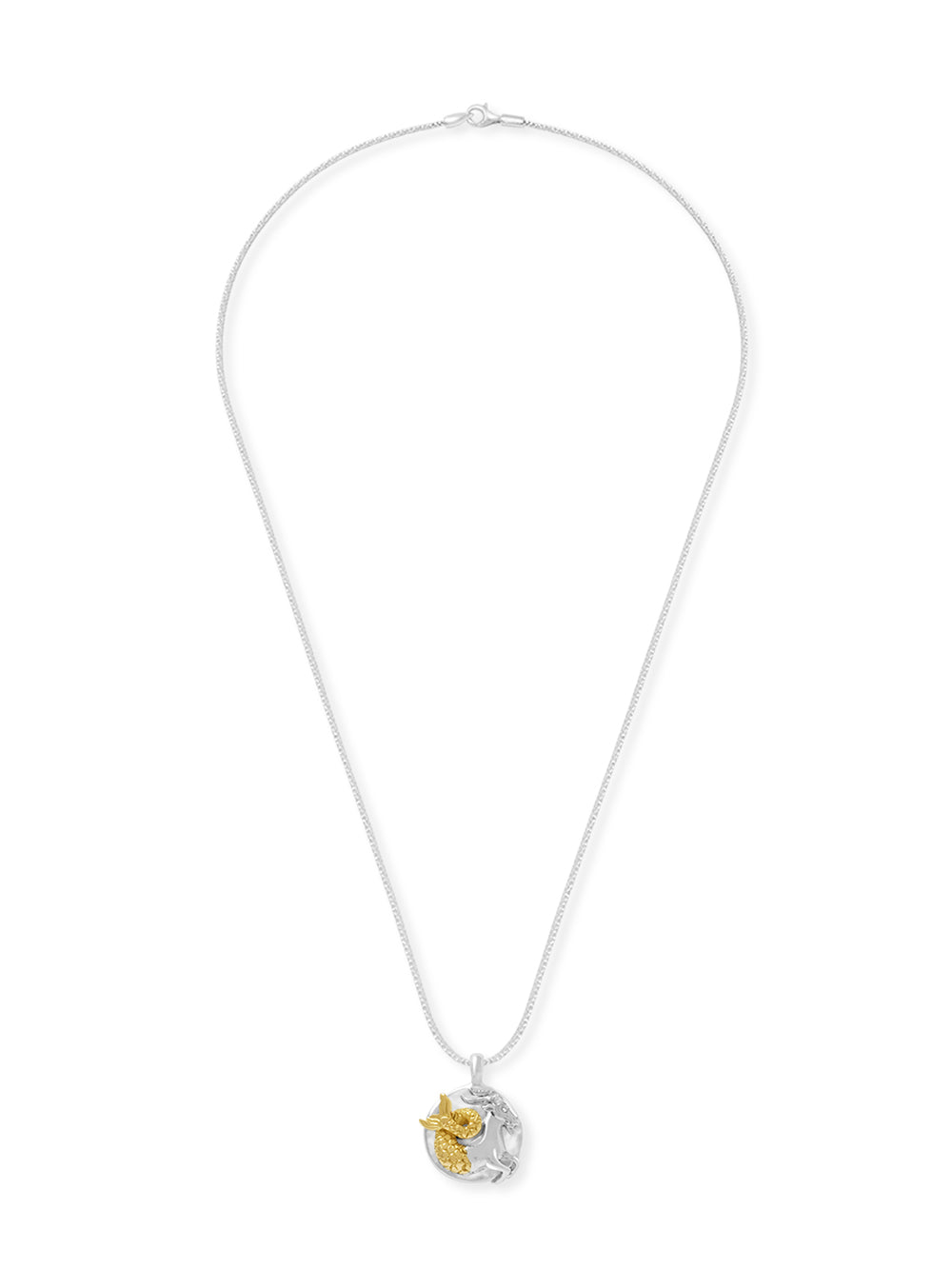Capricorn Pendant