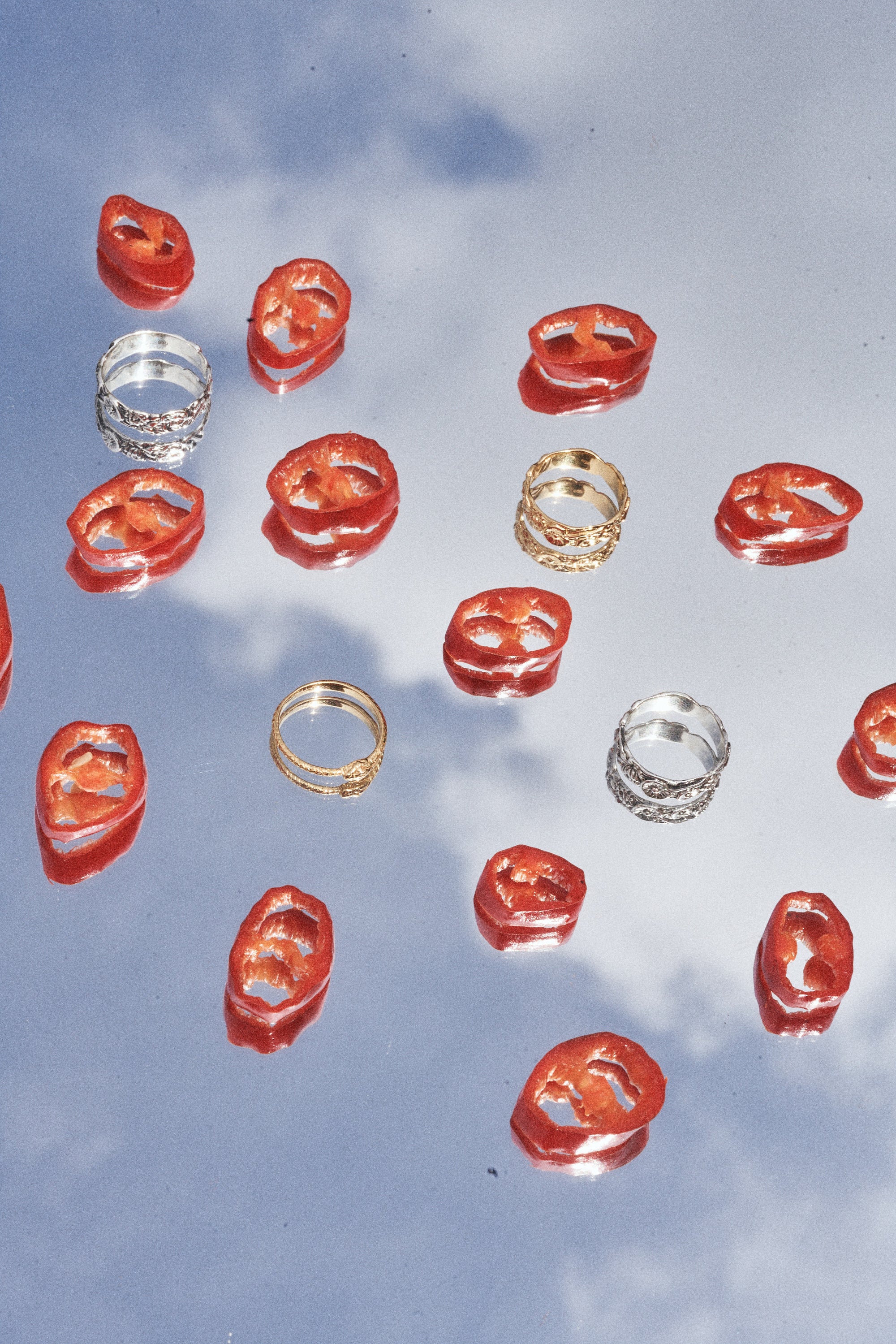 Carina Hardy fine sterling silver jewelry pieces arranged against a backdrop of a blue sky. The nature-inspired design of the collection blending seamlessly with the surrounding.