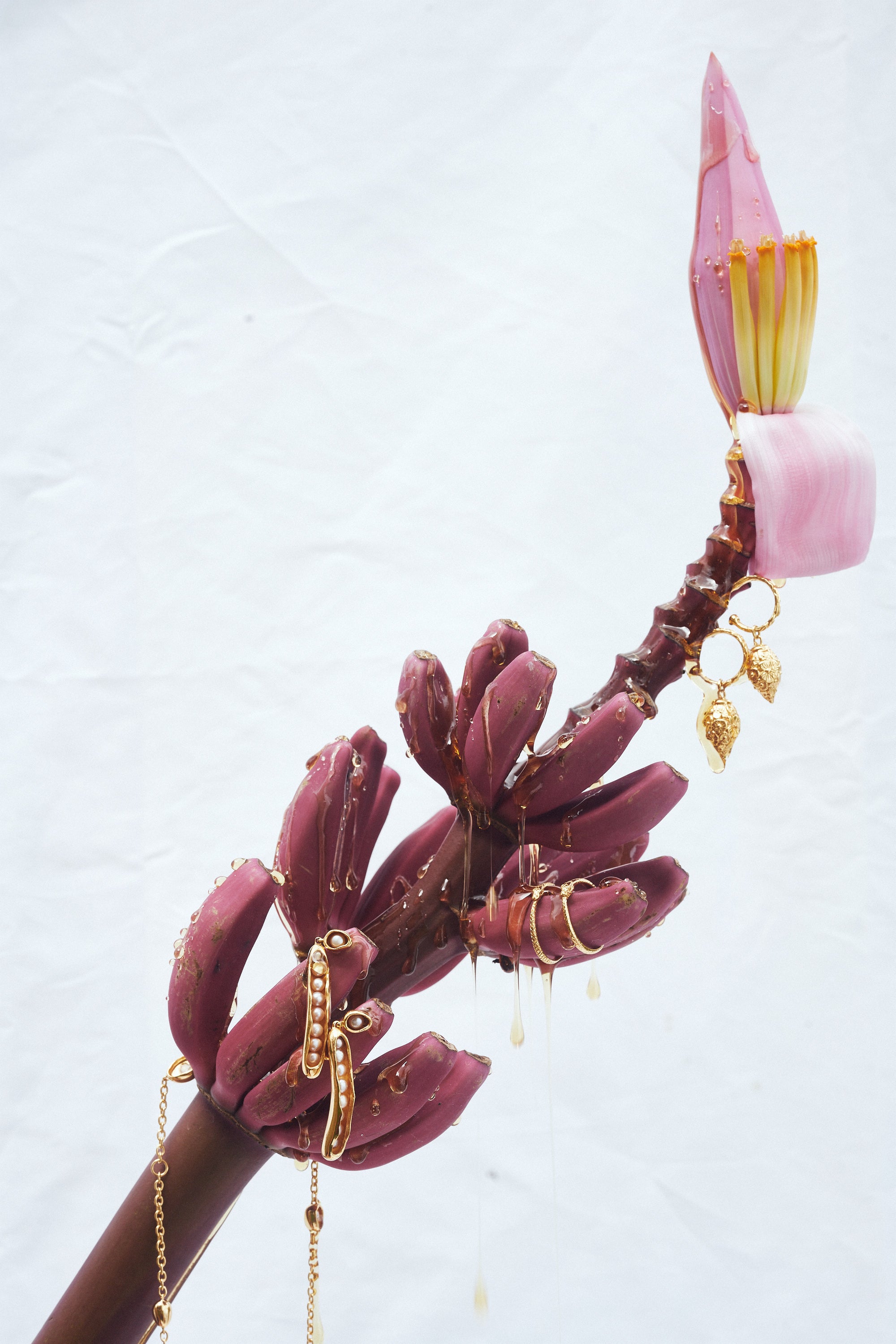 Carina Hardy 18K fine yellow gold jewelry delicately hanging on a purple plant, highlighting the natural inspiration and elegance of the pieces.