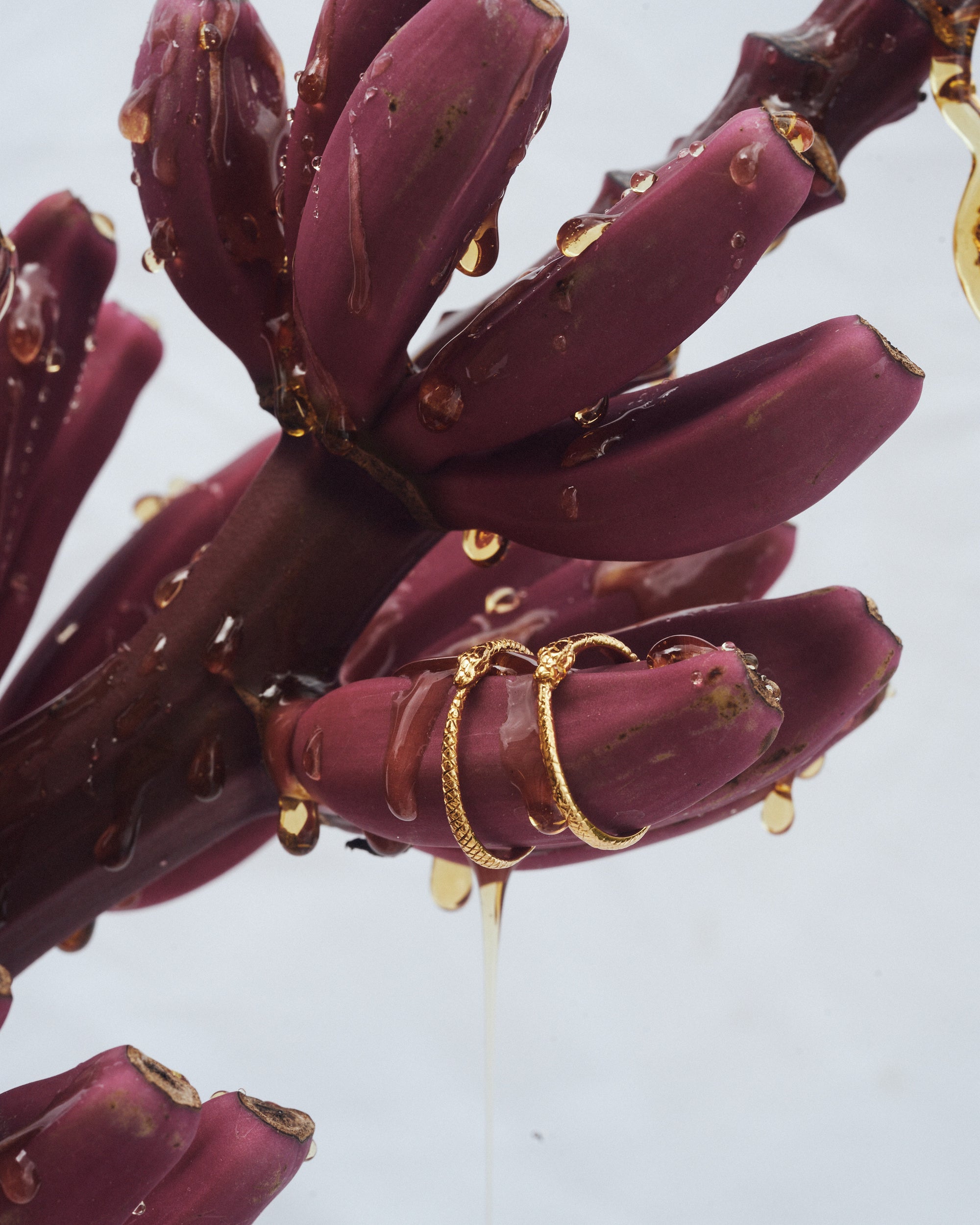 Carina Hardy 18K fine yellow gold jewelry delicately hanging on a purple plant, highlighting the natural inspiration and elegance of the pieces.